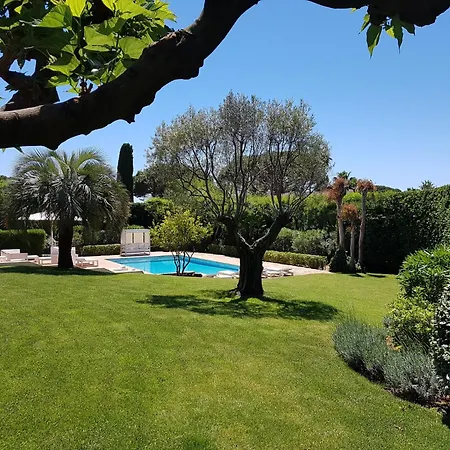 Mb * Saint-Tropez